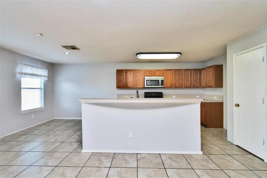 19003 Wild Yaupon Drive, Cypress, Texas image 13