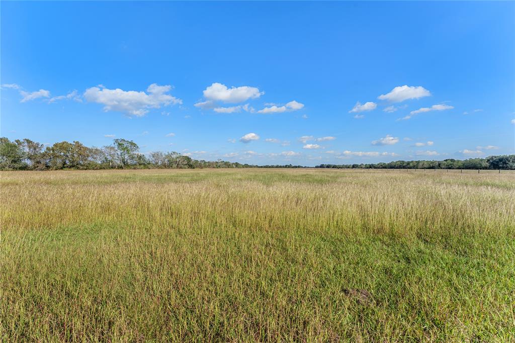 00 Fm 762 Road, Needville, Texas image 11