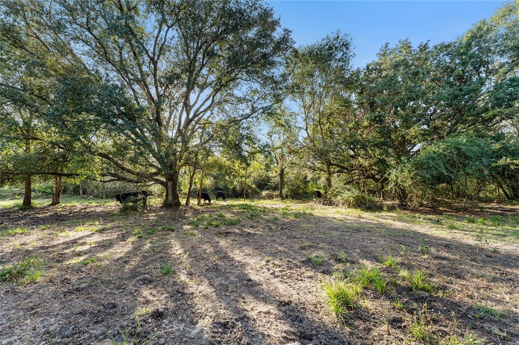 00 Fm 762 Road, Needville, Texas image 18