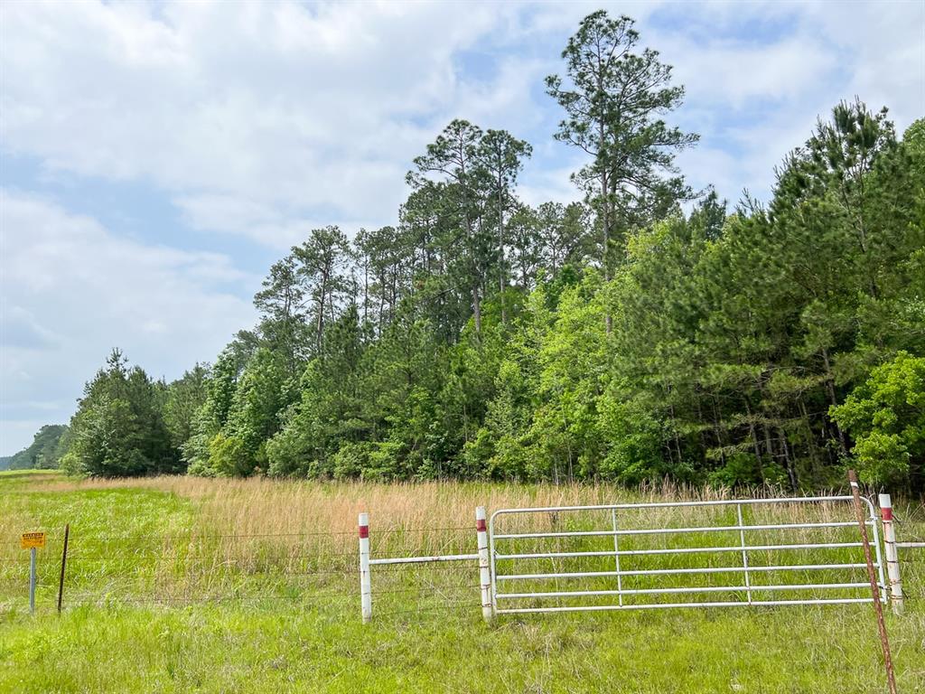 Fm 2937, Silsbee, Texas image 3