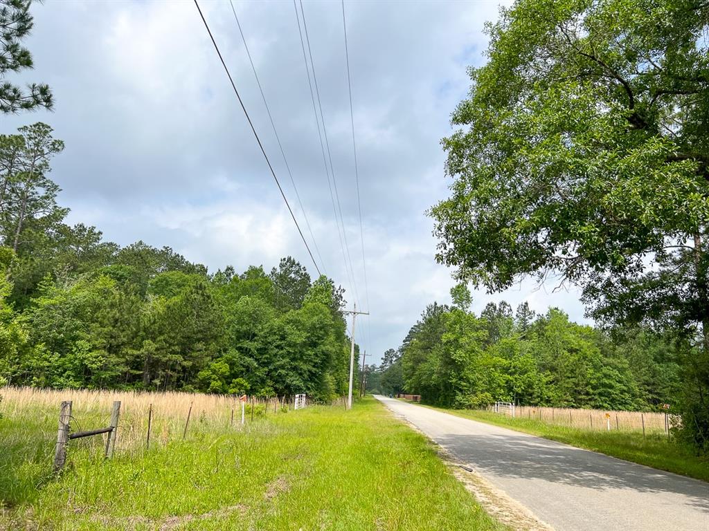 Fm 2937, Silsbee, Texas image 4