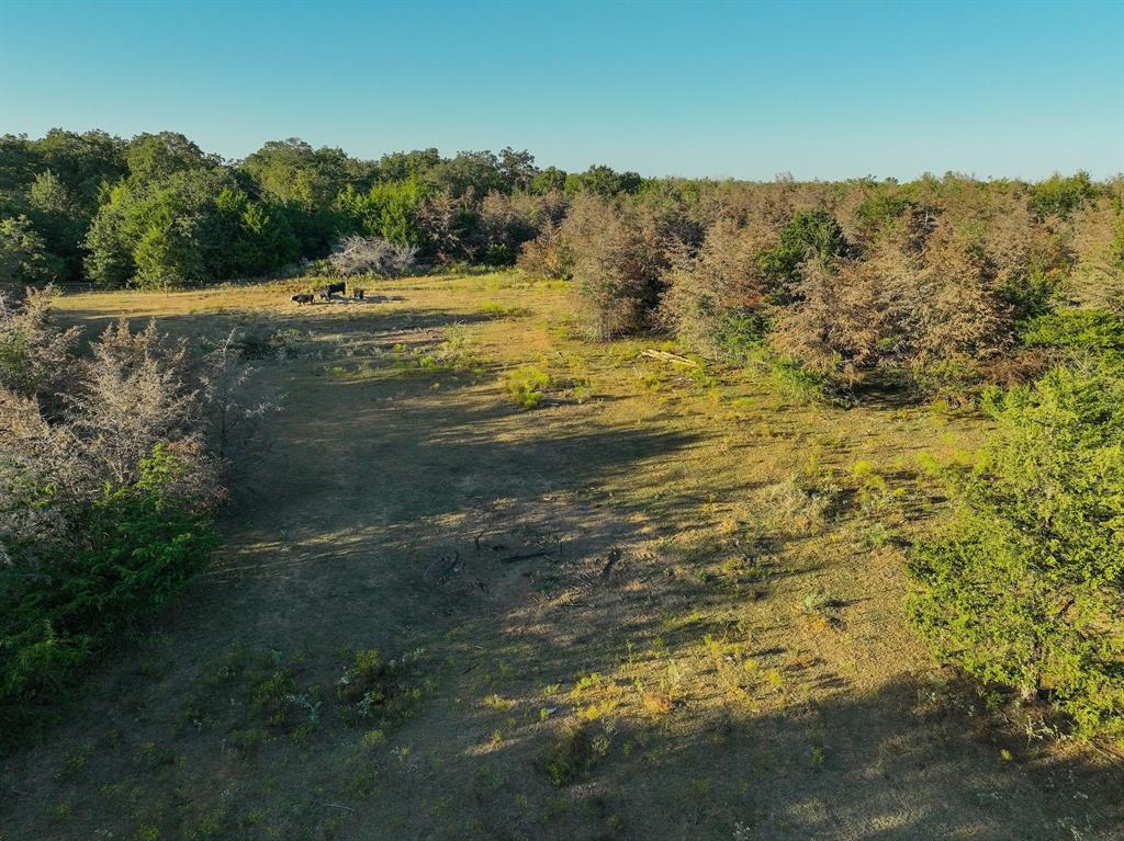 8315 County Road 315, Caldwell, Texas image 16