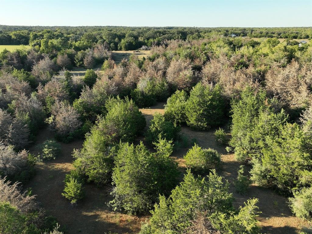 8315 County Road 315, Caldwell, Texas image 13