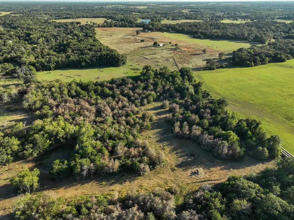 8315 County Road 315, Caldwell, Texas image 6