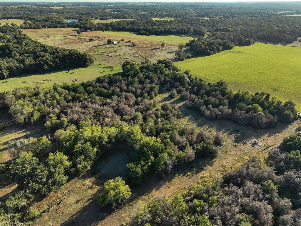 8315 County Road 315, Caldwell, Texas image 5