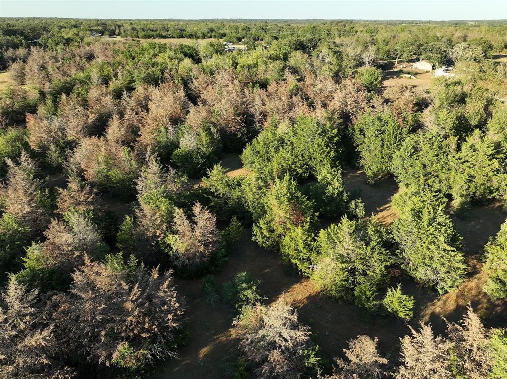 8315 County Road 315, Caldwell, Texas image 14