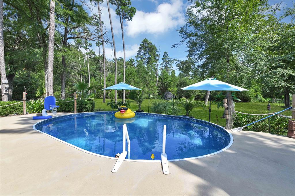 32715 Pine Tree Lane Lane, Waller, Texas image 34