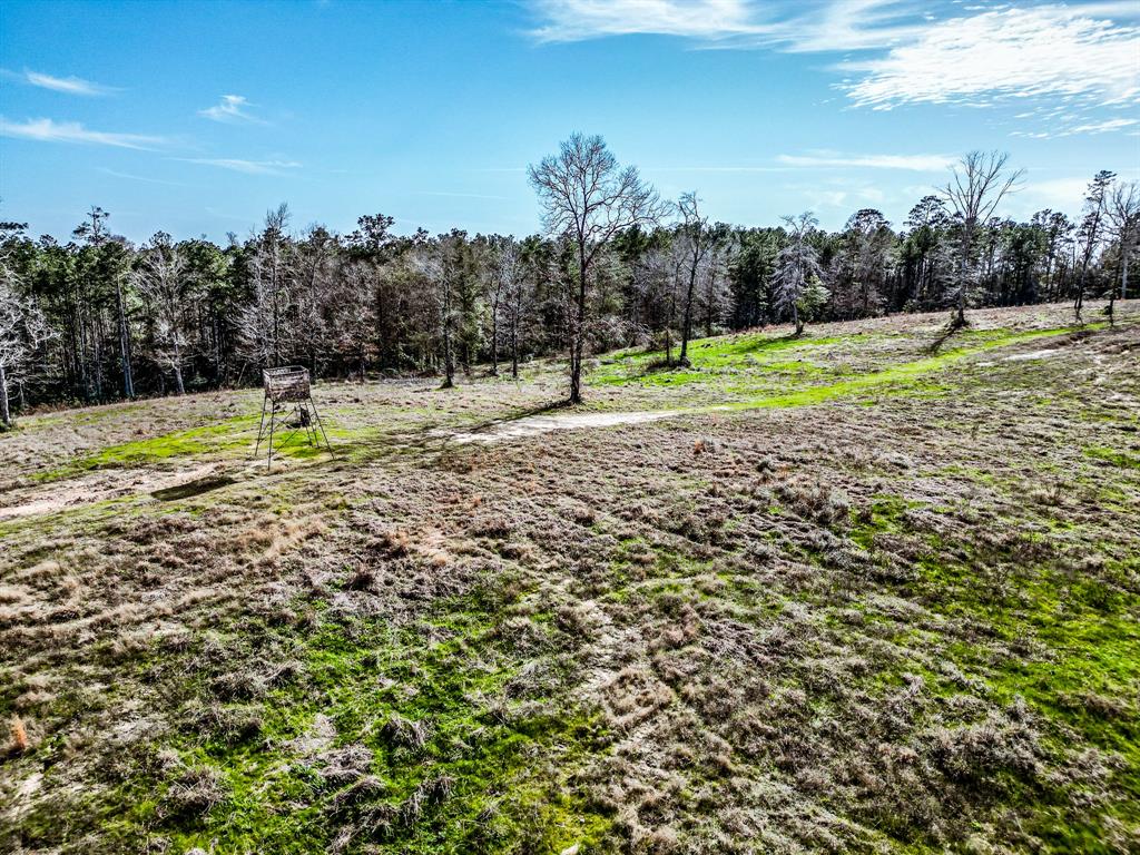 9374 Fm 350, Livingston, Texas image 48