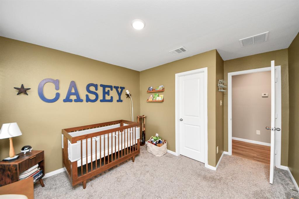 26431 Pin Oak Drive, Hempstead, Texas image 28