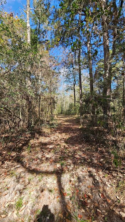 TBD Hill Road, Willis, Texas image 1