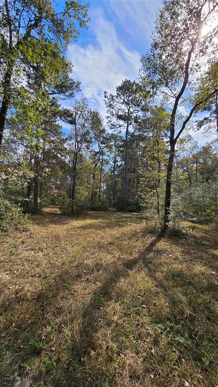 TBD Hill Road, Willis, Texas image 5
