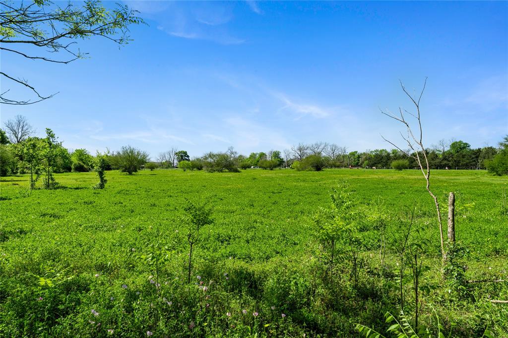 Fm 1161, Hungerford, Texas image 26