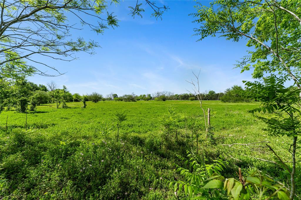 Fm 1161, Hungerford, Texas image 25