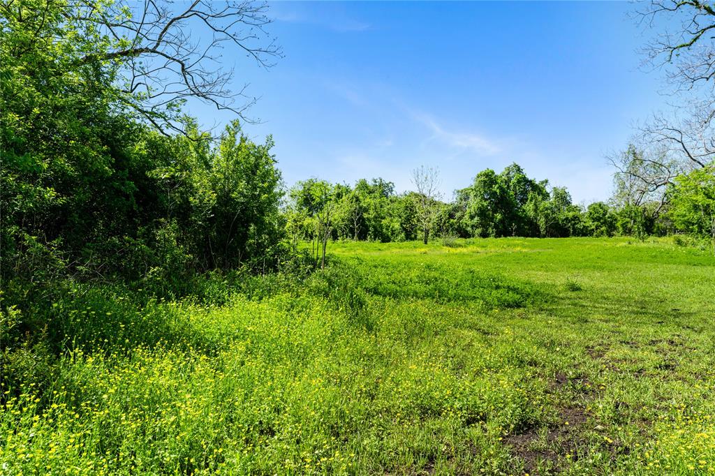 Fm 1161, Hungerford, Texas image 24