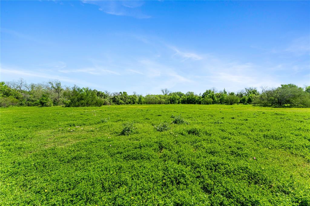 Fm 1161, Hungerford, Texas image 29