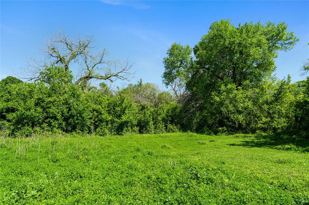 Fm 1161, Hungerford, Texas image 20