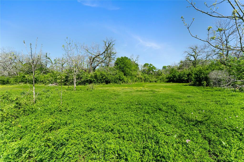 Fm 1161, Hungerford, Texas image 19