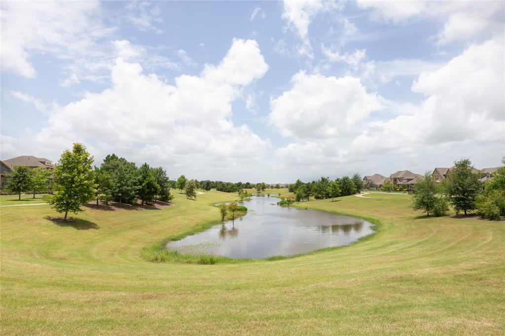 10706 Hedge Mustard Way, Cypress, Texas image 18