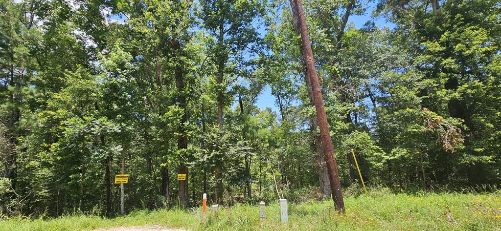 Harrell Road, Coldspring, Texas image 1