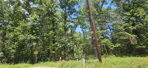Vacant Land For Sale - Harrell Road<br/> Coldspring, TX 77331