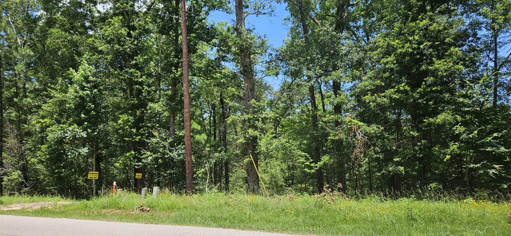 Harrell Road, Coldspring, Texas image 2