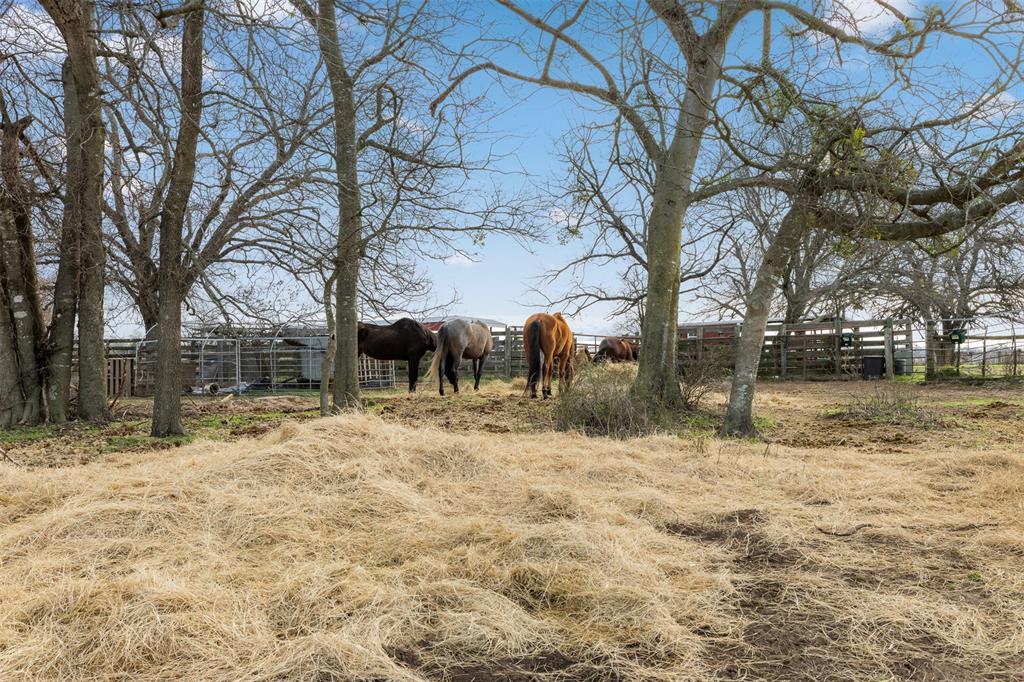2300 Lcr 654, Thornton, Texas image 35