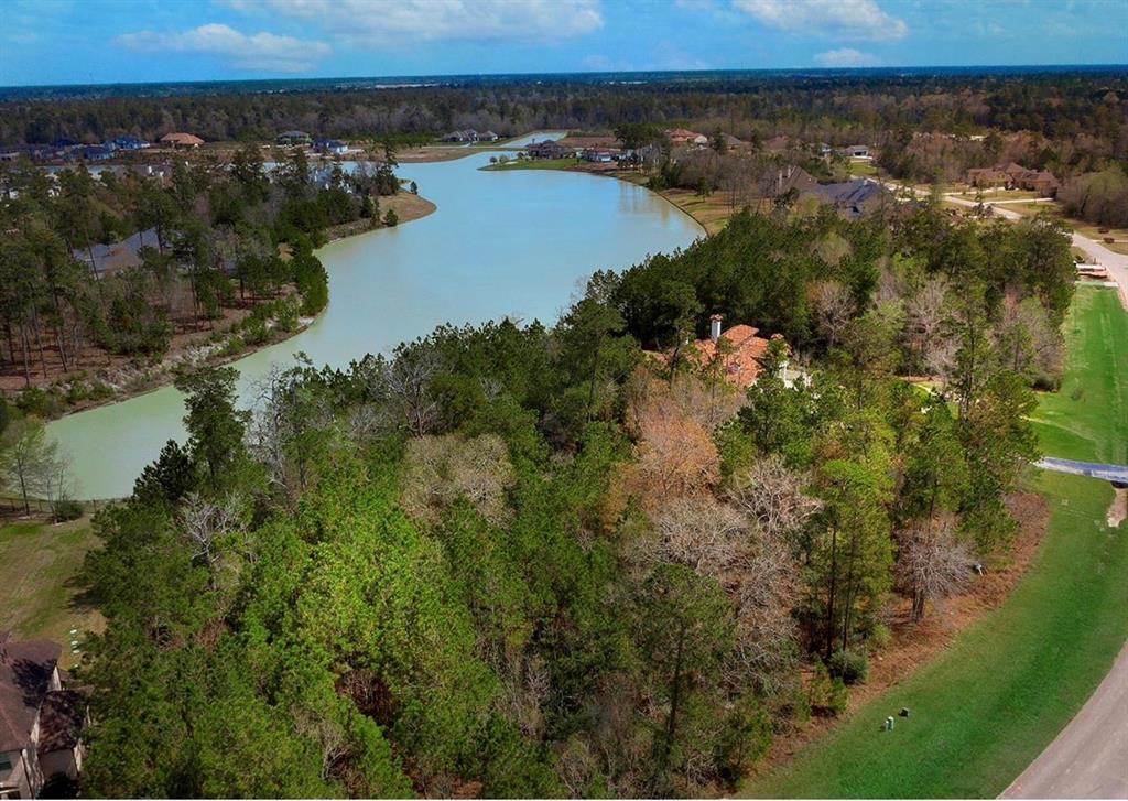 27587 S Lazy Meadow Way, Spring, Texas image 9