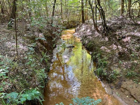 Vacant Land For Sale - TBD Highway 21<br/> San Augustine, TX 75972