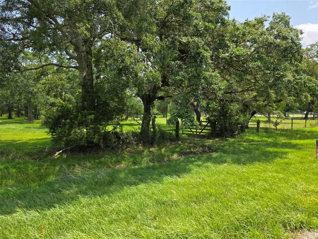 2419 Farm To Market 1459, Sweeny, Texas image 9