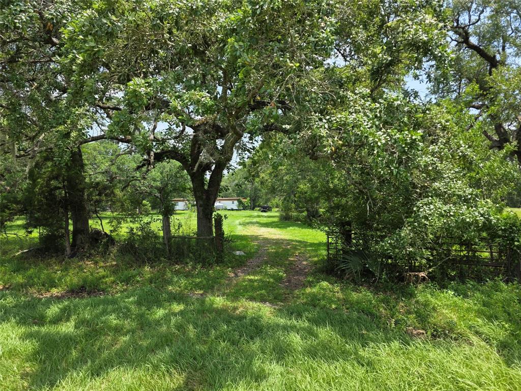 2419 Farm To Market 1459, Sweeny, Texas image 7