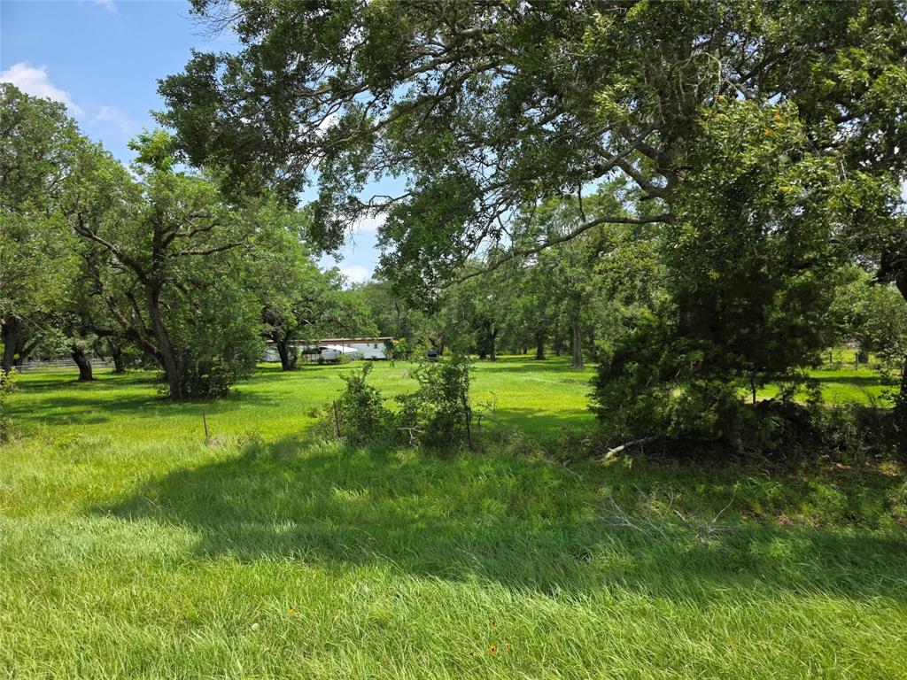 2419 Farm To Market 1459, Sweeny, Texas image 8