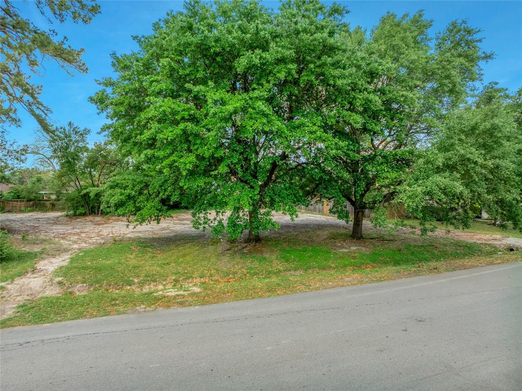 1441 Durango Drive, Houston, Texas image 4