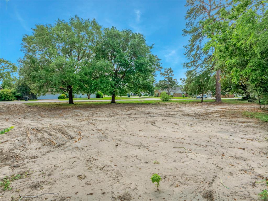 1441 Durango Drive, Houston, Texas image 7