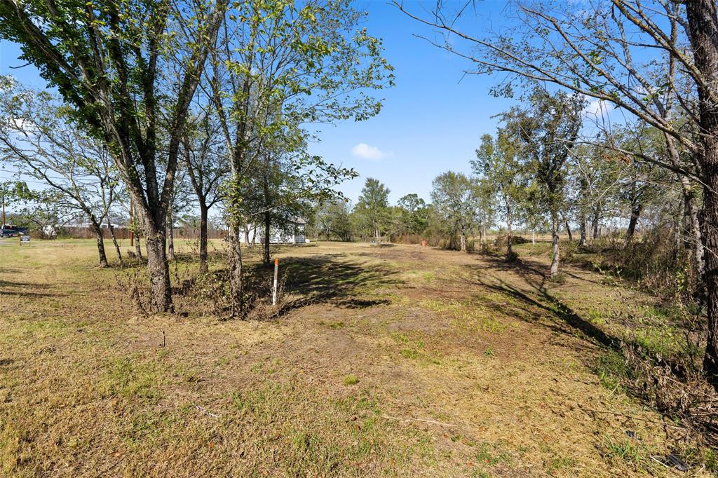 21019 Prairie Circle, Bedias, Texas image 21