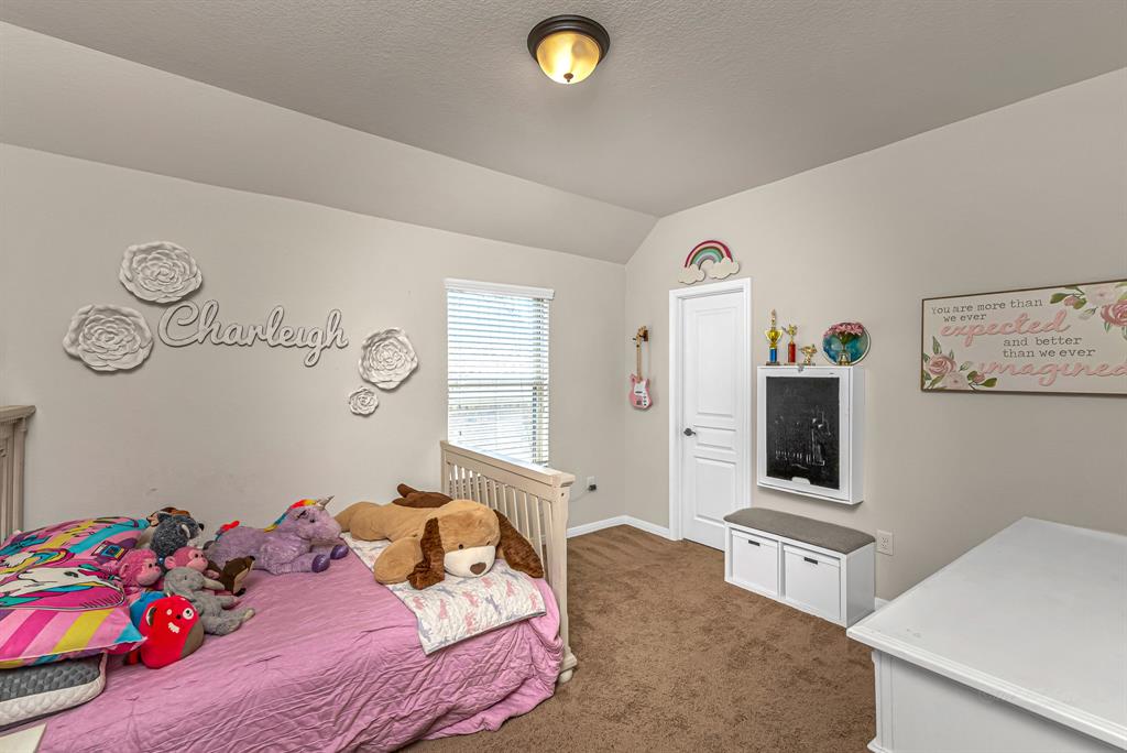 24102 Dynasty Drive, Katy, Texas image 26
