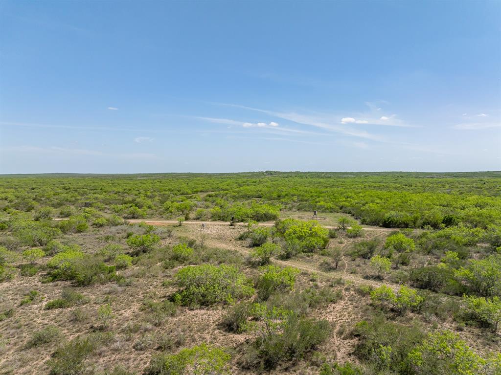 4502 County Road 103, San Diego, Texas image 29