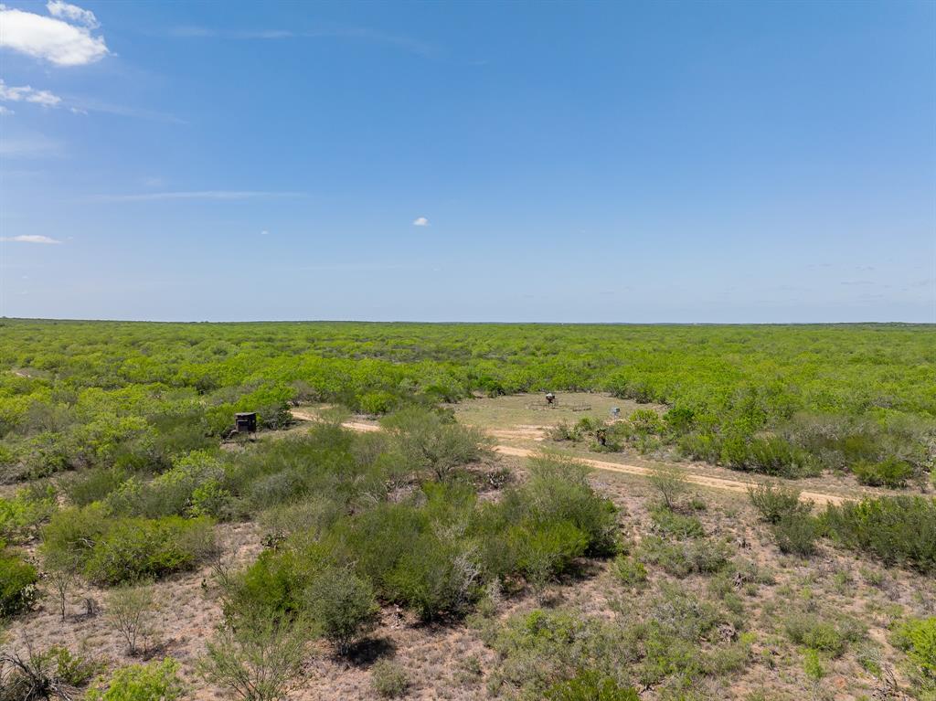 4502 County Road 103, San Diego, Texas image 12