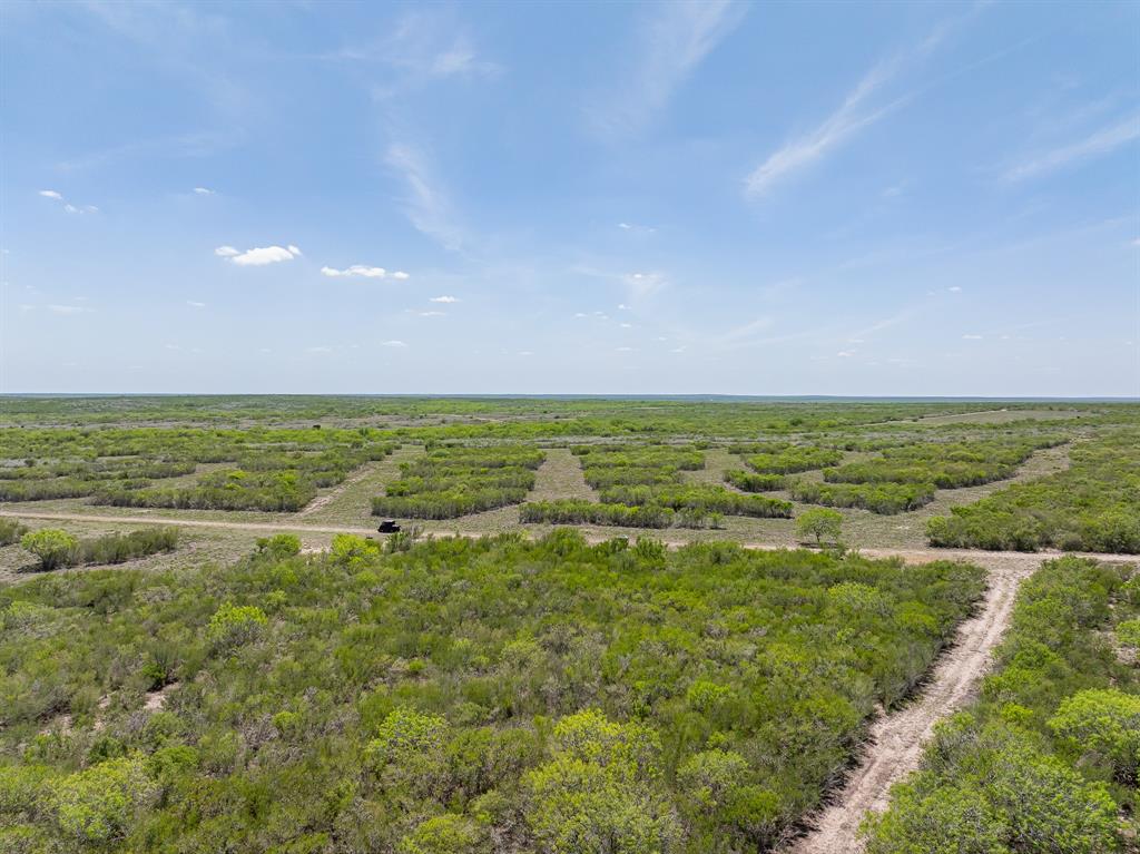 4502 County Road 103, San Diego, Texas image 6