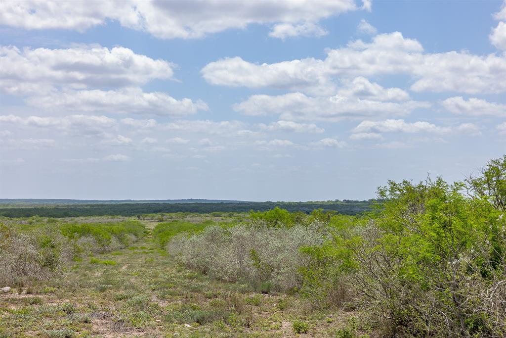 4502 County Road 103, San Diego, Texas image 24