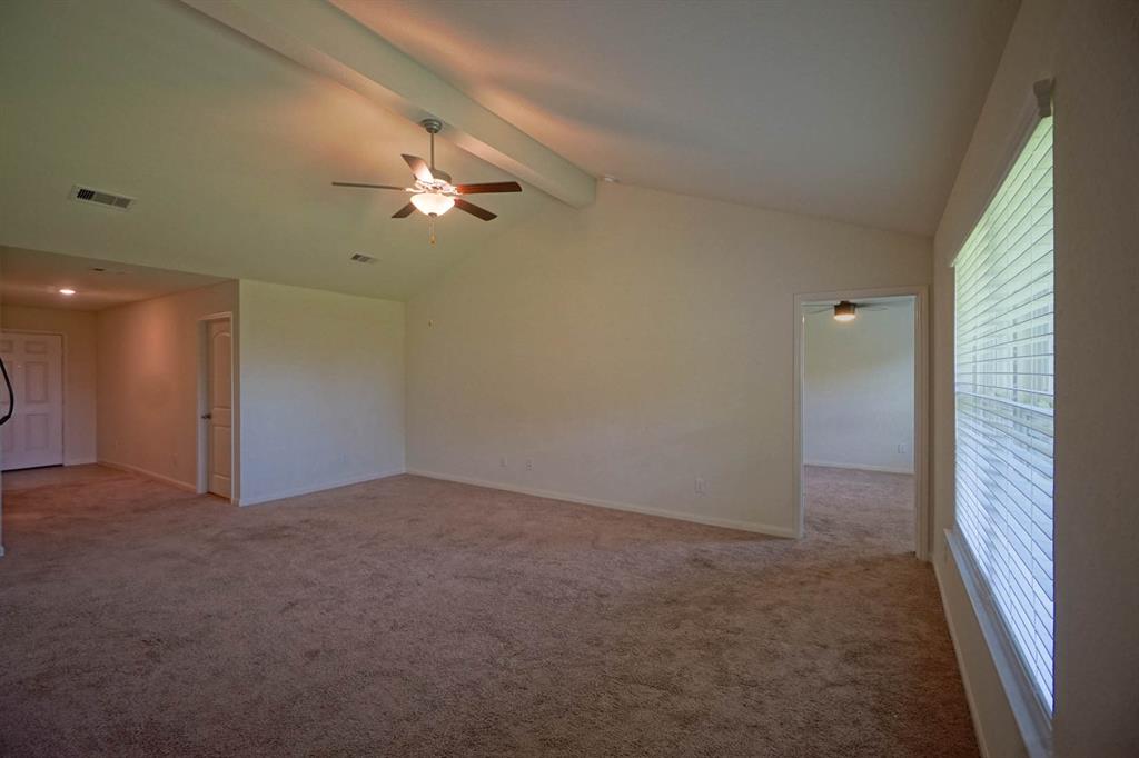 9514 Garnet Grove Drive, Iowa Colony, Texas image 19
