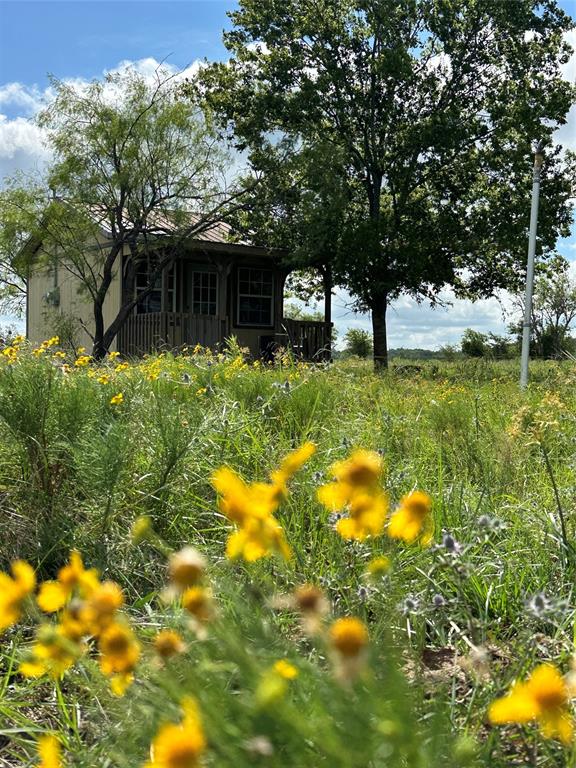 1685 Lcr 398, Groesbeck, Texas image 2