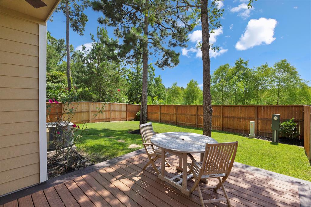 146 Mimosa Silk Court, Montgomery, Texas image 1