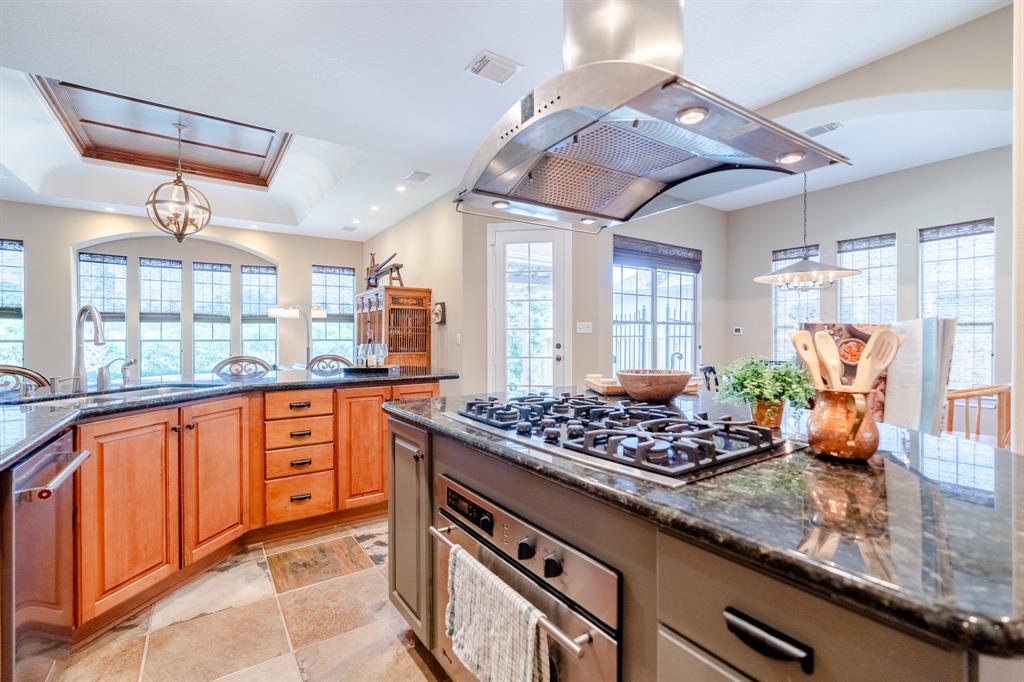 14 Cotillion Court, The Woodlands, Texas image 19