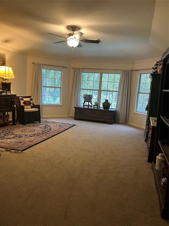 2103 Crescent Coral Drive, League City, Texas image 15