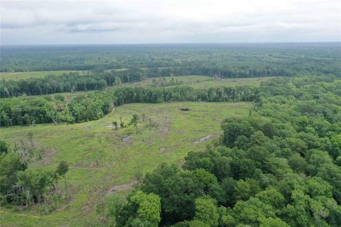 Vacant Land For Sale - TBD Cr 449- Socagee Creek Road<br/> Panola County, Carthage, TX 75633