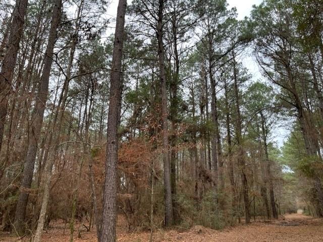 O Private Road, Carthage, Texas image 6