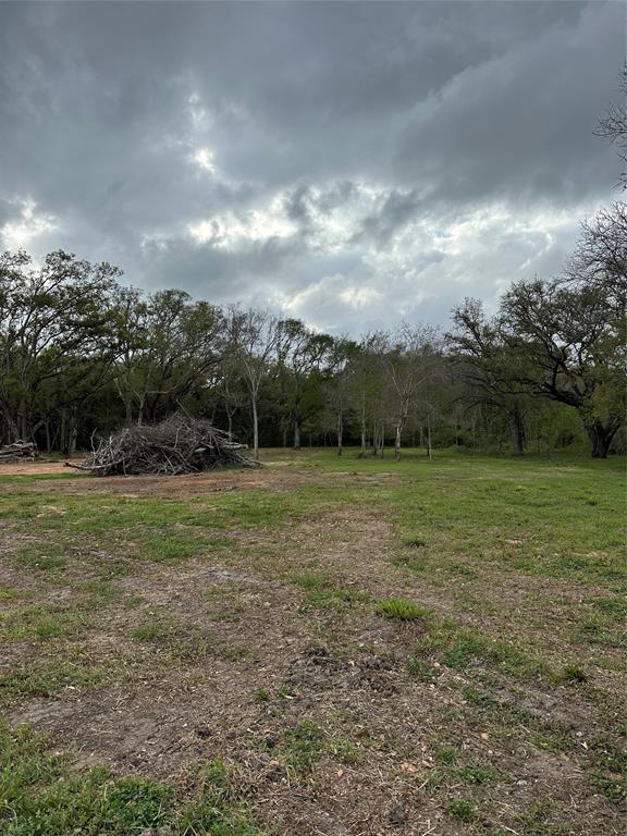 202 County Road 567, Rosharon, Texas image 8