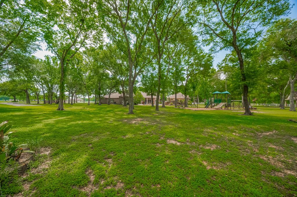 18518 W Paloma Lago Circle, Cypress, Texas image 46