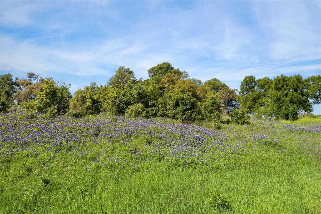 9170 Lehmann Lane, Brenham, Texas image 25