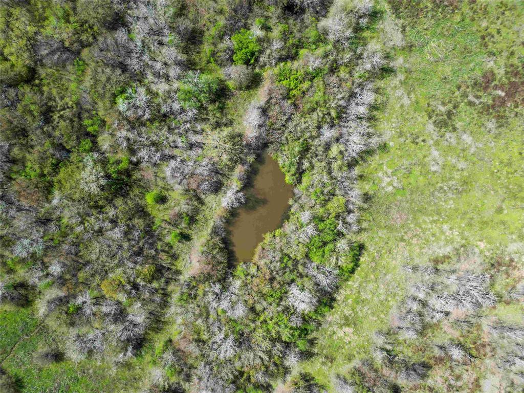 TBD Cr 401, Anderson, Texas image 15